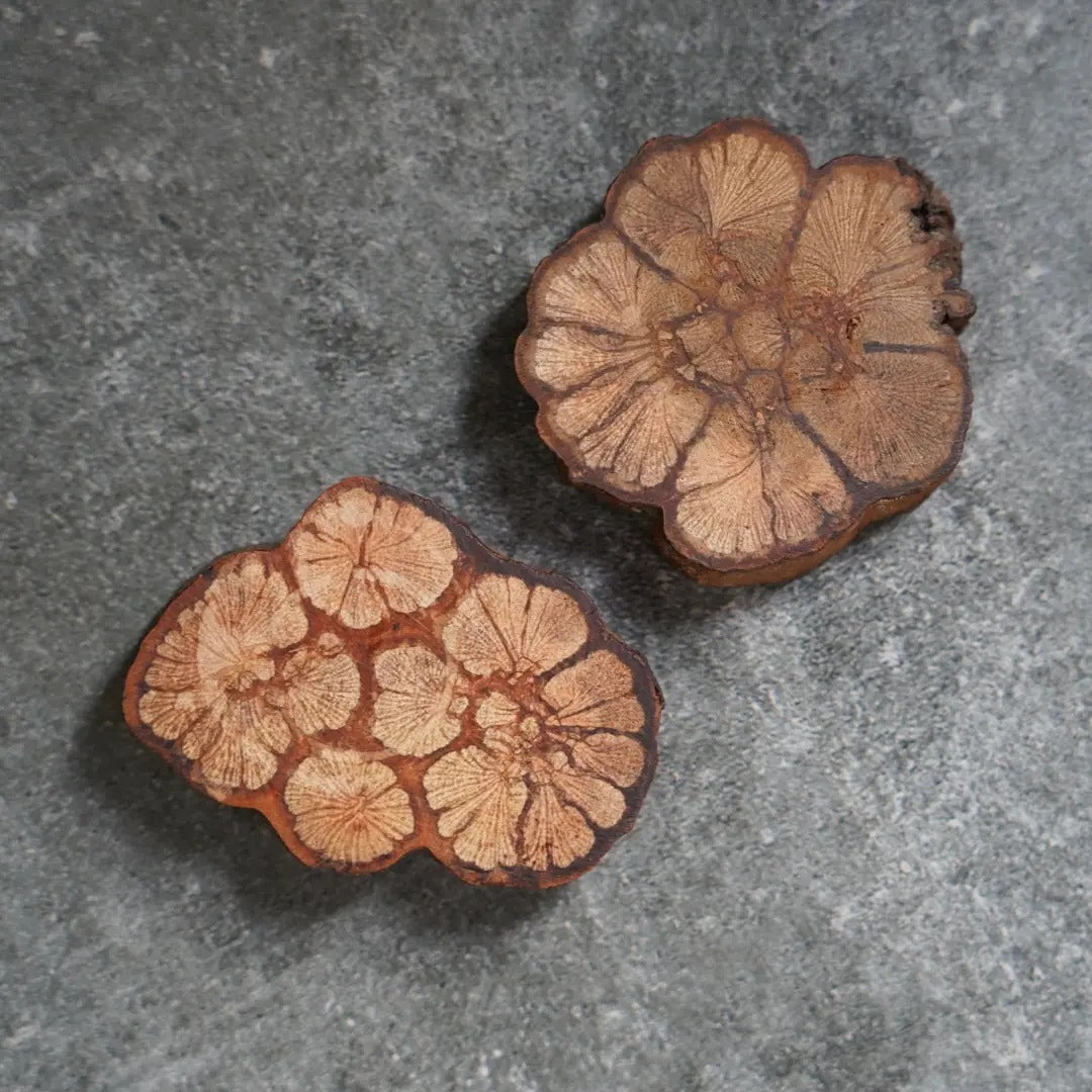 Wooden Coasters (5.9 Inches)
